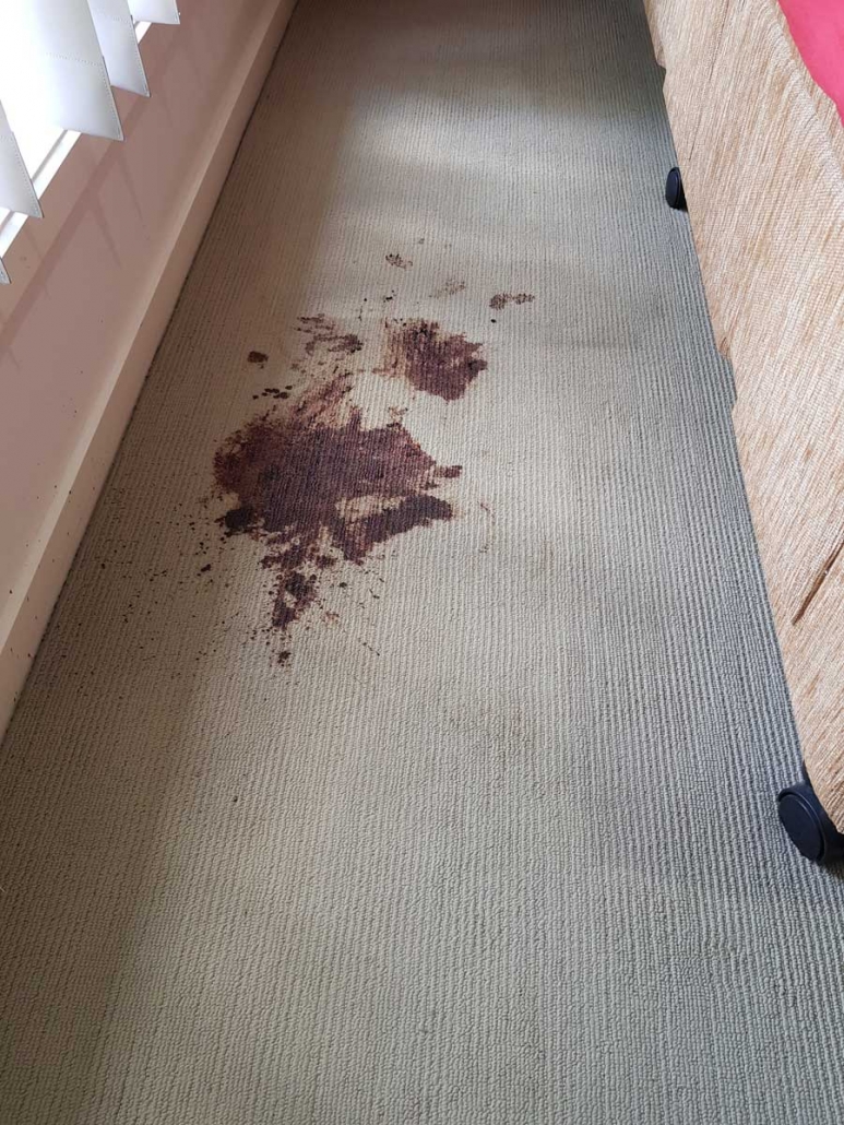Carpet - before cleaning